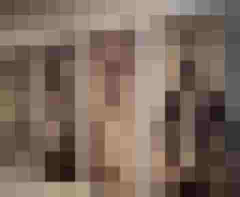 Vier humorvolle Tierporträts in menschlicher Kleidung nebeneinander an einer Wand